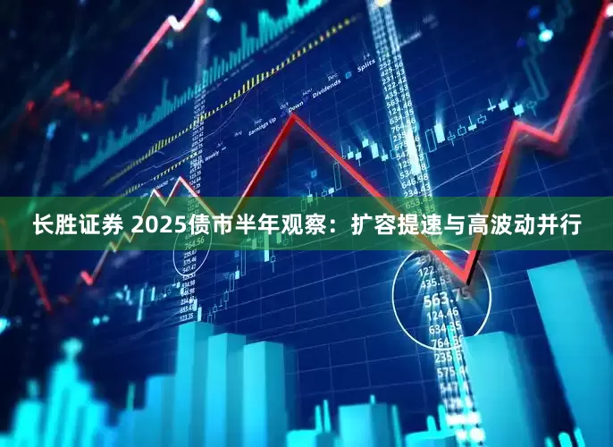 长胜证券 2025债市半年观察：扩容提速与高波动并行
