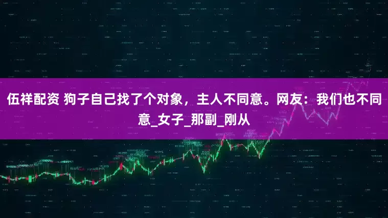 伍祥配资 狗子自己找了个对象，主人不同意。网友：我们也不同意_女子_那副_刚从
