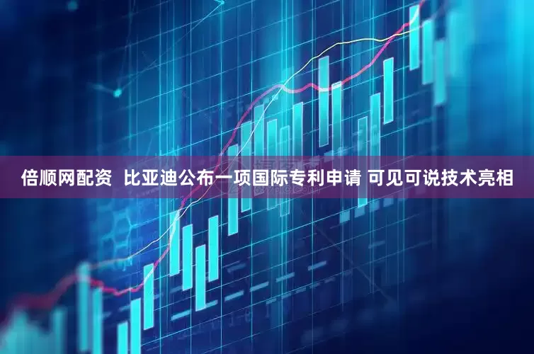 倍顺网配资  比亚迪公布一项国际专利申请 可见可说技术亮相