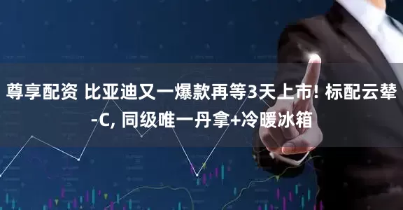尊享配资 比亚迪又一爆款再等3天上市! 标配云辇-C, 同级唯一丹拿+冷暖冰箱