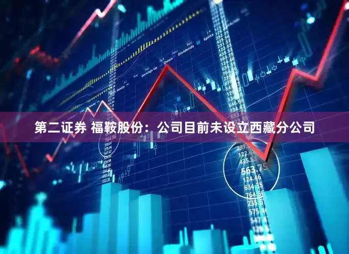 第二证券 福鞍股份：公司目前未设立西藏分公司