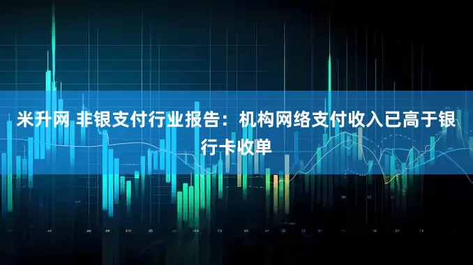 米升网 非银支付行业报告：机构网络支付收入已高于银行卡收单